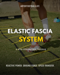 Elastic Fascia System (6 WEEK PROGRAM) COMING SOON
