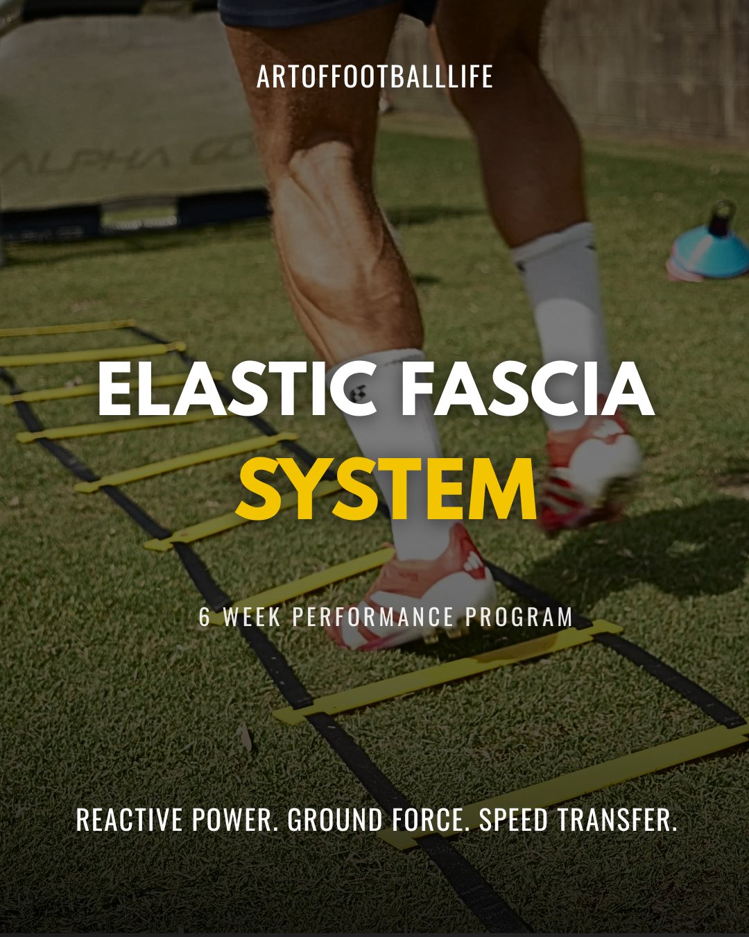 Elastic Fascia System (6 WEEK PROGRAM) COMING SOON